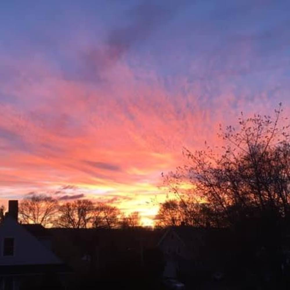 Meet your Posher, Paige